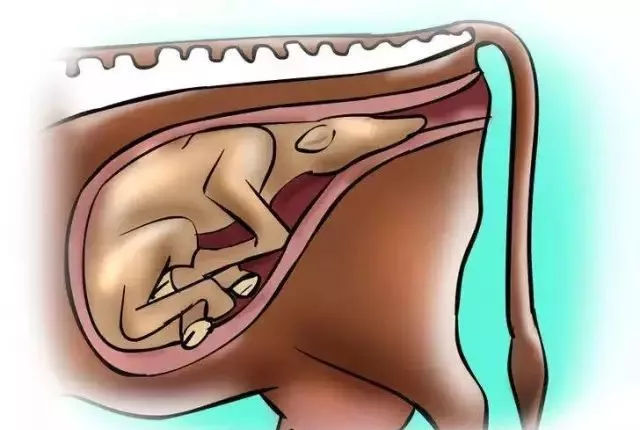 小?？醇摇概７置洮F象