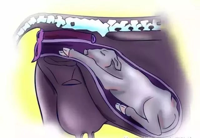 小?？醇摇概７置洮F象