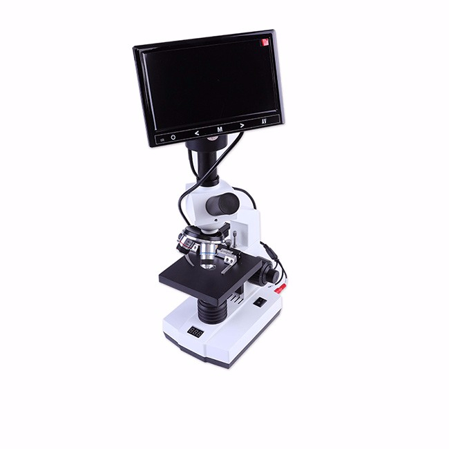 大屏恒溫顯微鏡