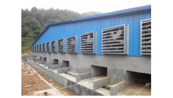 建一個可以養500頭肥豬的豬場要投資多少錢？