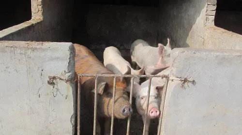 微信圖片_20200915110133