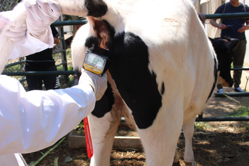 愛牧多排卵測定儀