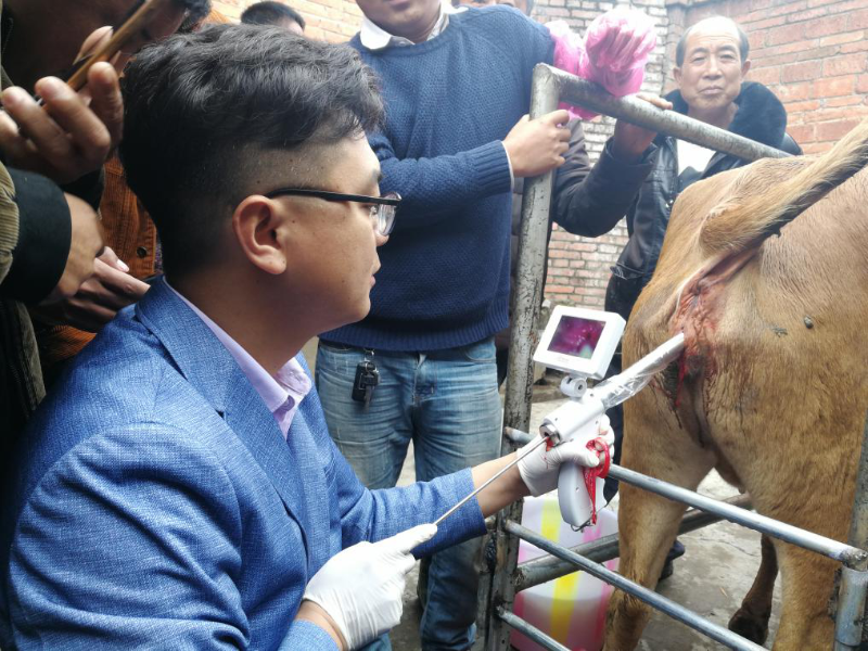 牛可視輸精槍 牛可視輸精槍